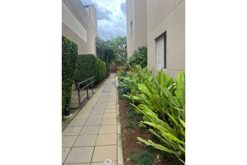 Apartamento - Alugar - São Paulo , São Paulo - WhatsApp Image 2026-02-11 at 14.15.53.jpeg - 602251013-48