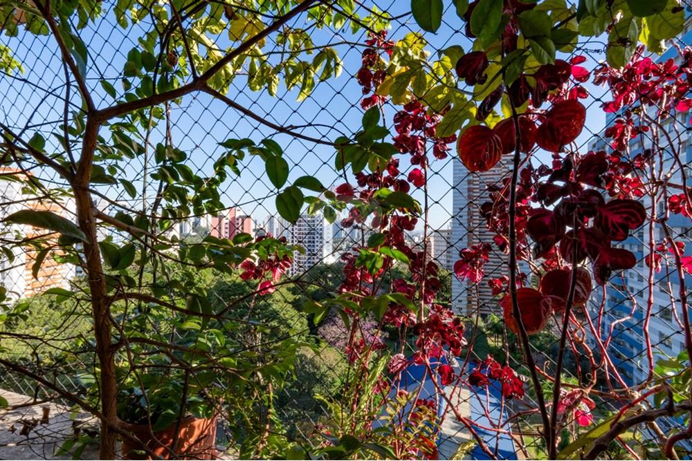 Apartamento - Venda - São Paulo , São Paulo - 6adaec15-8a7e-492e-99f9-b04c9105dab3.jpeg - 601181003-108