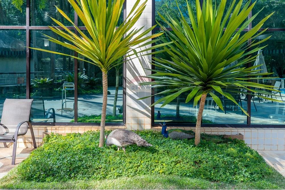 Apartamento - Venda - São Paulo , São Paulo - 1729822484855-01fotos_071.jpeg - 601251016-103