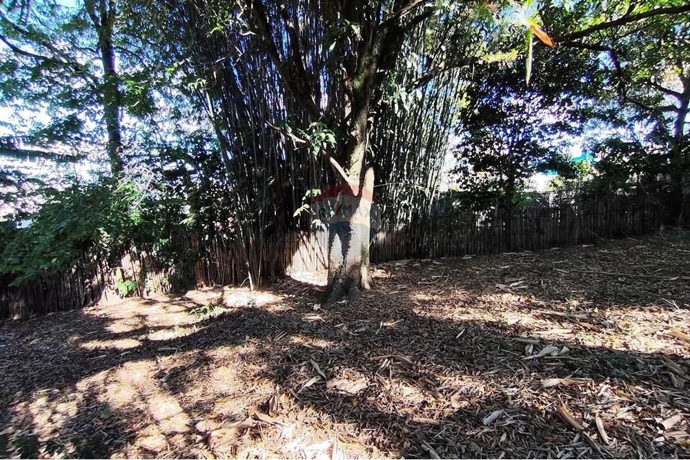 Terreno - Venda - Ferraz de Vasconcelos , São Paulo - IMG_20250918_150107.jpg - 601451005-109