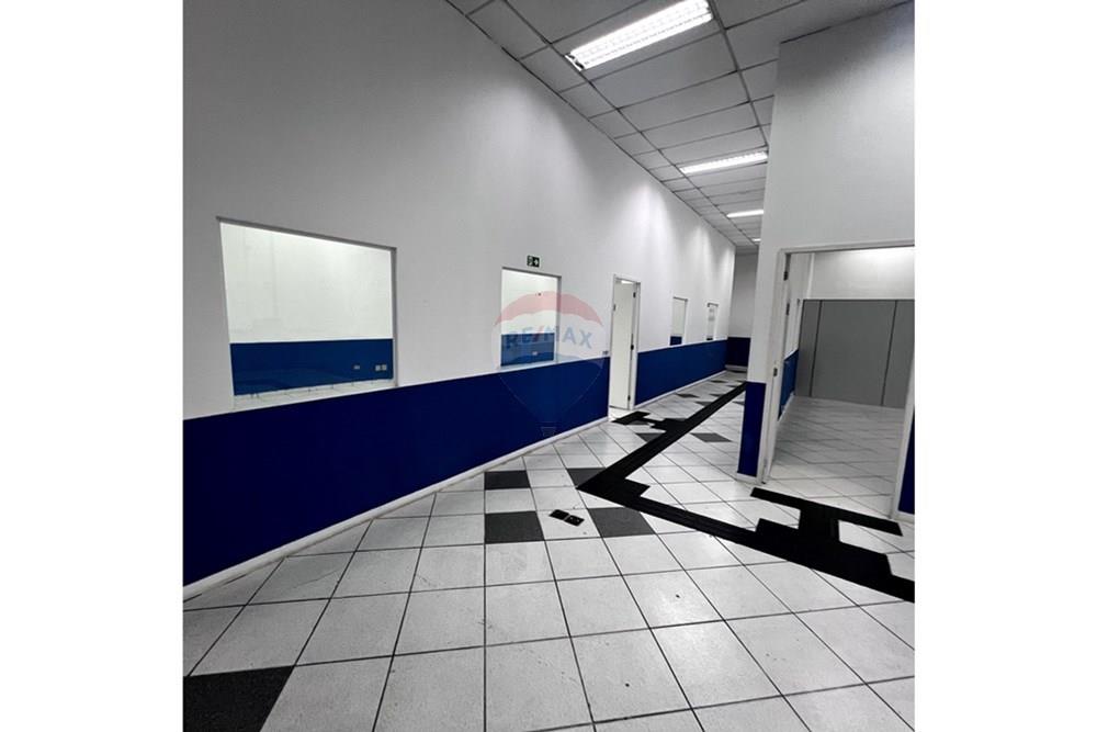 Prédio - Alugar - São Paulo , São Paulo - Cópia de IMG_3298.jpg - 601261095-6