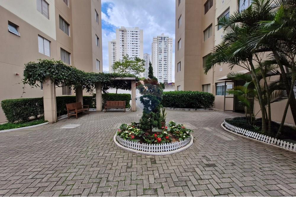 Apartamento - Alugar - São Paulo , São Paulo - 20251029_153419.jpg - 601471009-104