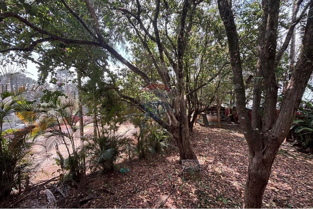 Casa Comercial - Alugar - Cotia , São Paulo - Imagem do WhatsApp de 2025-08-26 à(s) 14.35.33_51550872.jpg - 602241014-17