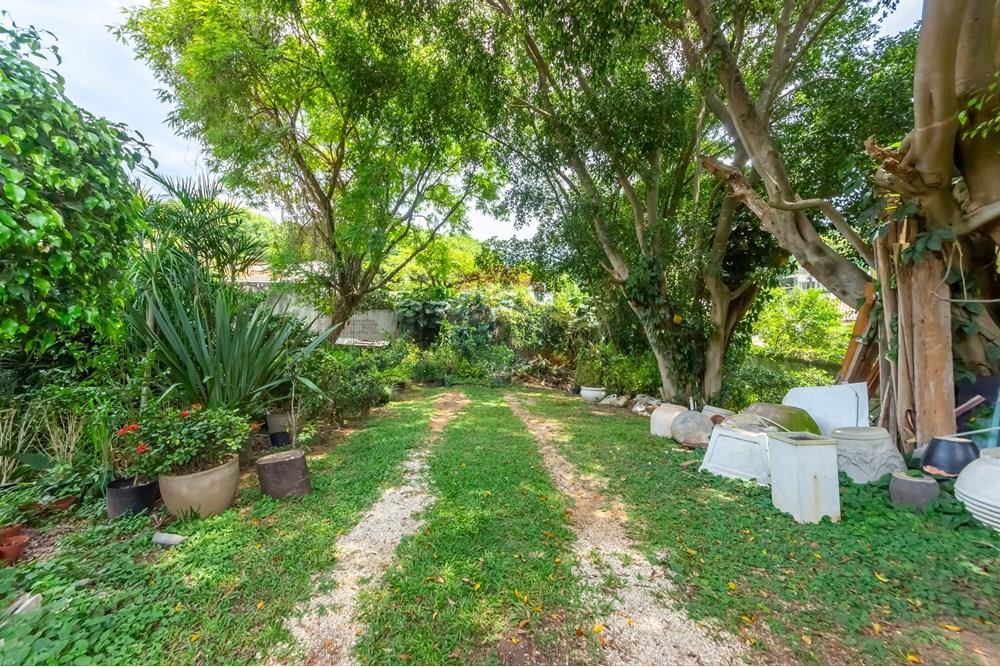 Terreno - Venda - São Paulo , São Paulo - IMG_962506.jpg - 601461011-91