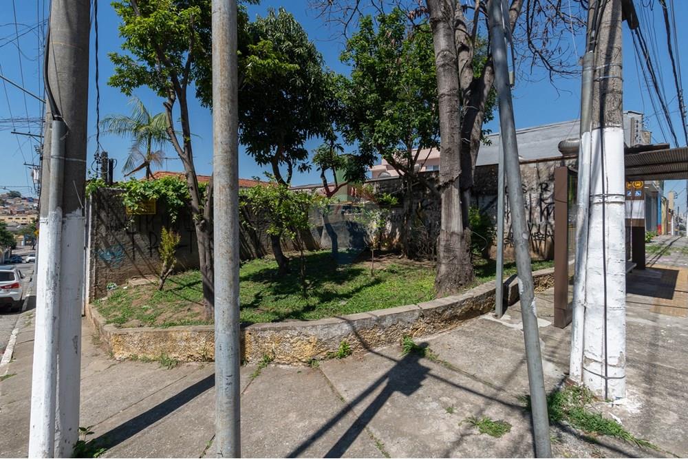 Galpão - Venda - São Paulo , São Paulo - 31-GC.jpg - 601471004-440