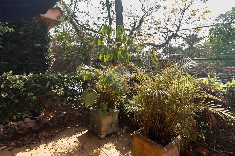 Casa Comercial - Alugar - São Paulo , São Paulo - IMG_967907.jpg - 601721049-13