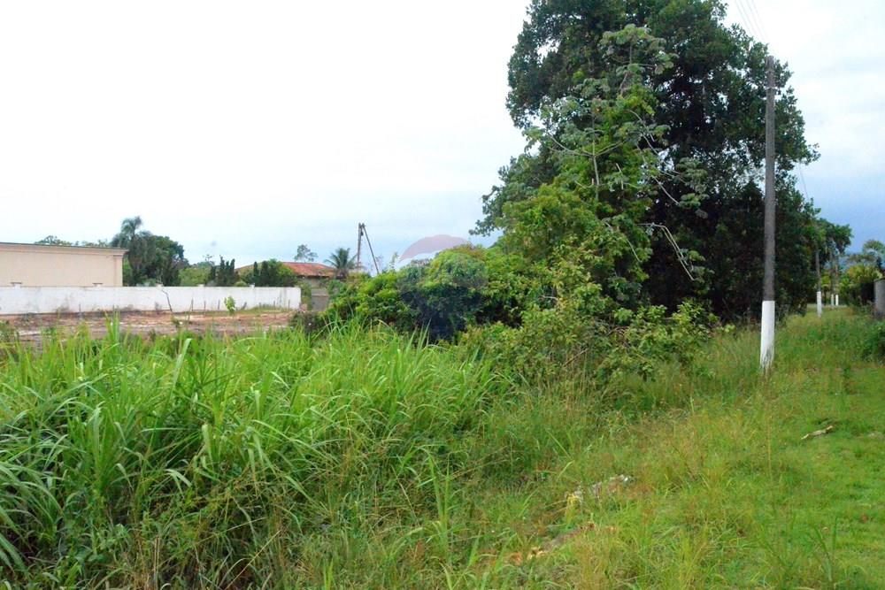 Terreno - Venda - Peruíbe , São Paulo - 01fotos_026.jpg - 601251058-29