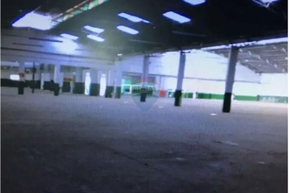 Galpão - Alugar - São Paulo , São Paulo - 6.jpg - 602291021-222