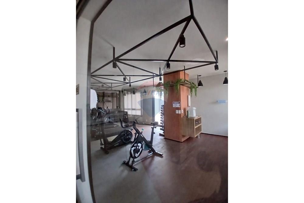 Studio - Alugar - São Paulo , São Paulo - 1.jpg - 602031027-32