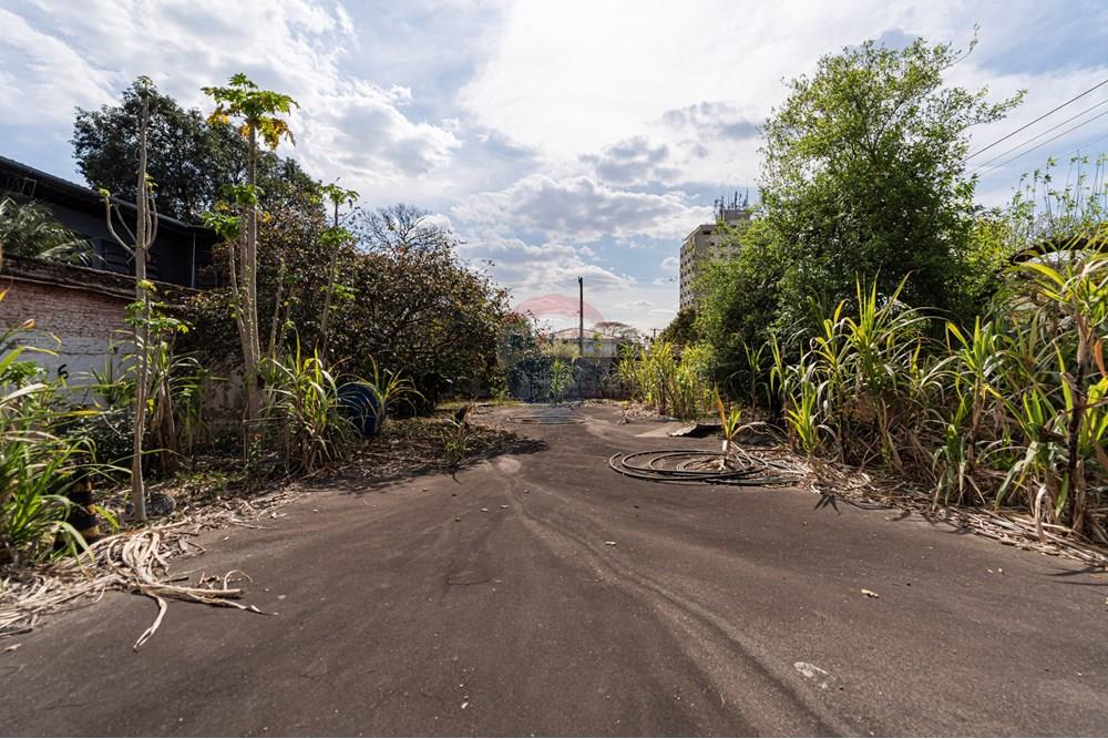 Terreno - Venda - São Paulo , São Paulo - 601301082-18-6.JPG - 601301082-20