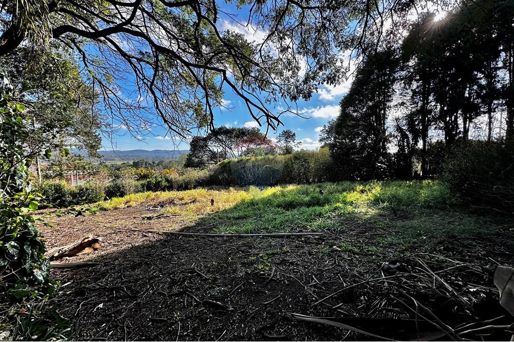 Casa - Venda - Cotia , São Paulo - IMG_8979.jpg - 602331010-36