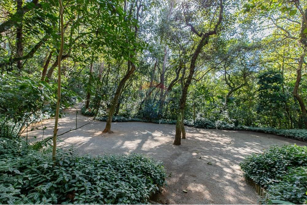 Apartamento - Venda - São Paulo , São Paulo - 1729822485855-01fotos_067.jpeg - 601251016-103