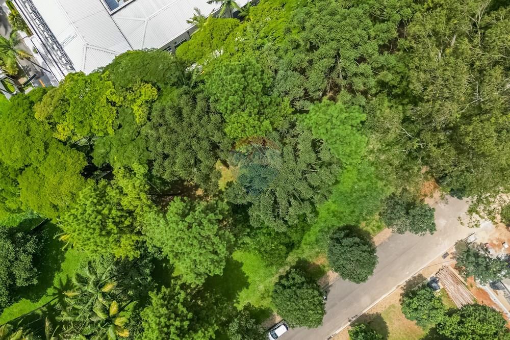 Terreno - Venda - São Paulo , São Paulo - Cópia de DJI_040816.jpg - Pátio interno - 601131046-23