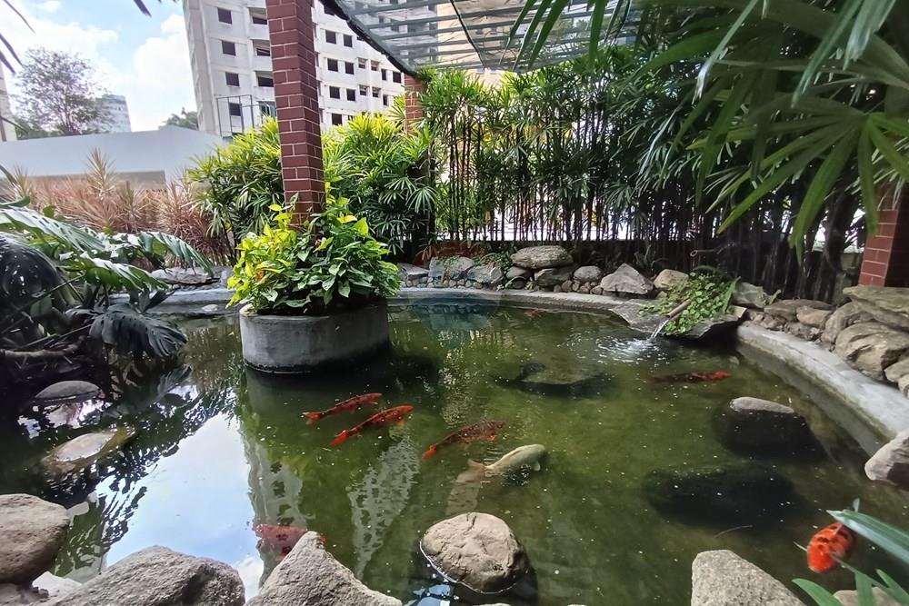 Kitnet - Alugar - São Paulo , São Paulo - IMG_20260219_101639.jpg - 602171001-29