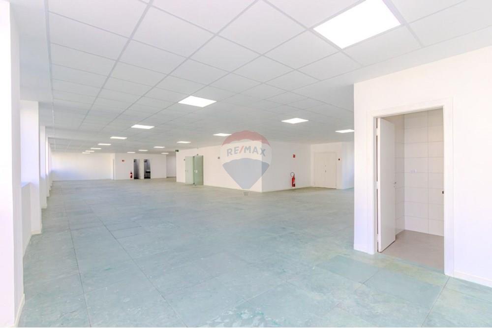 Cj. Comercial/ Sala - Alugar - São Paulo , São Paulo - Al.-Santos04-sala (1).jpg - 601081044-85