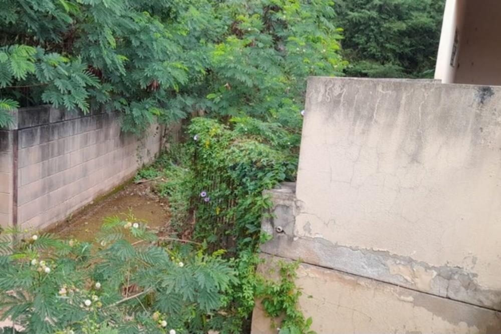 Casa - Venda - Caieiras , São Paulo - WhatsApp Image 2025-04-25 at 09.13.31.jpeg - Jardim Interno - 601171021-49