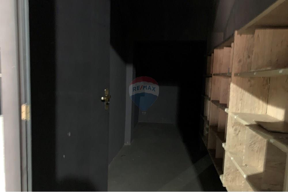 Galpão - Alugar - Santos , São Paulo - IMG_7860.jpg - 601261091-6