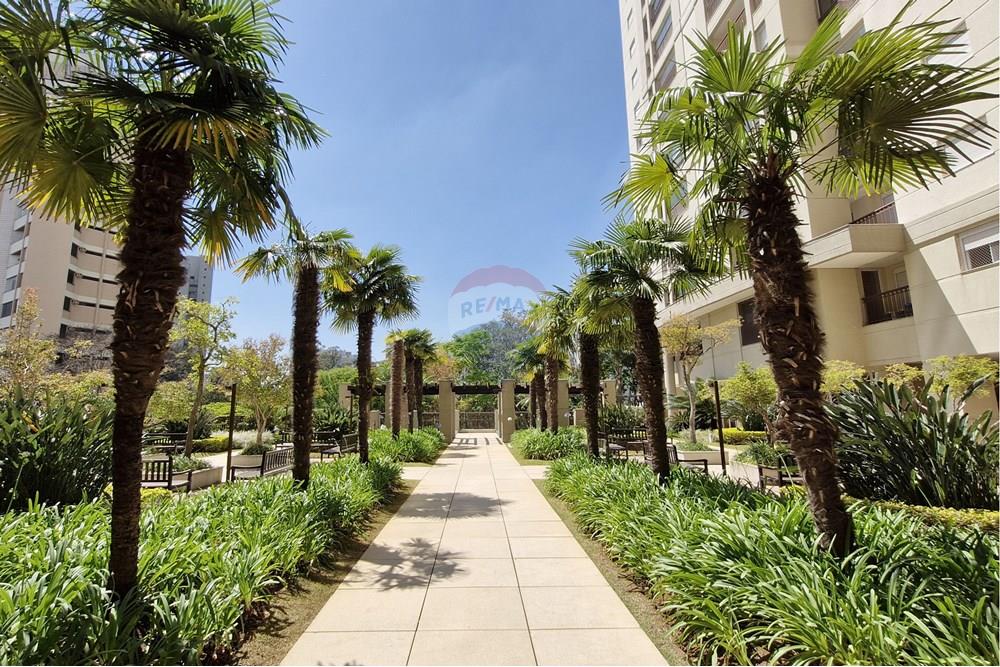 Apartamento - Venda - São Paulo , São Paulo - RUA DEPUTADO LAERCIO CORTE, 625 (3).jpg - 601361067-2