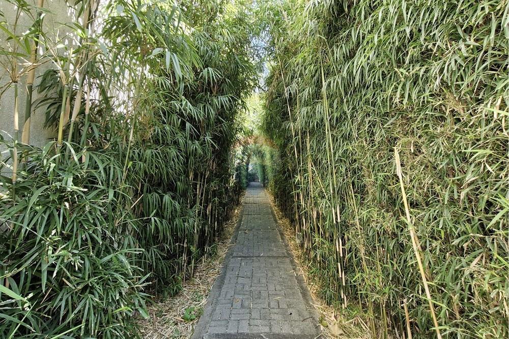 Apartamento - Venda - São Paulo , São Paulo - RUA MARIA JOSÉ POMAR, 332 (48).jpg - 601051032-156