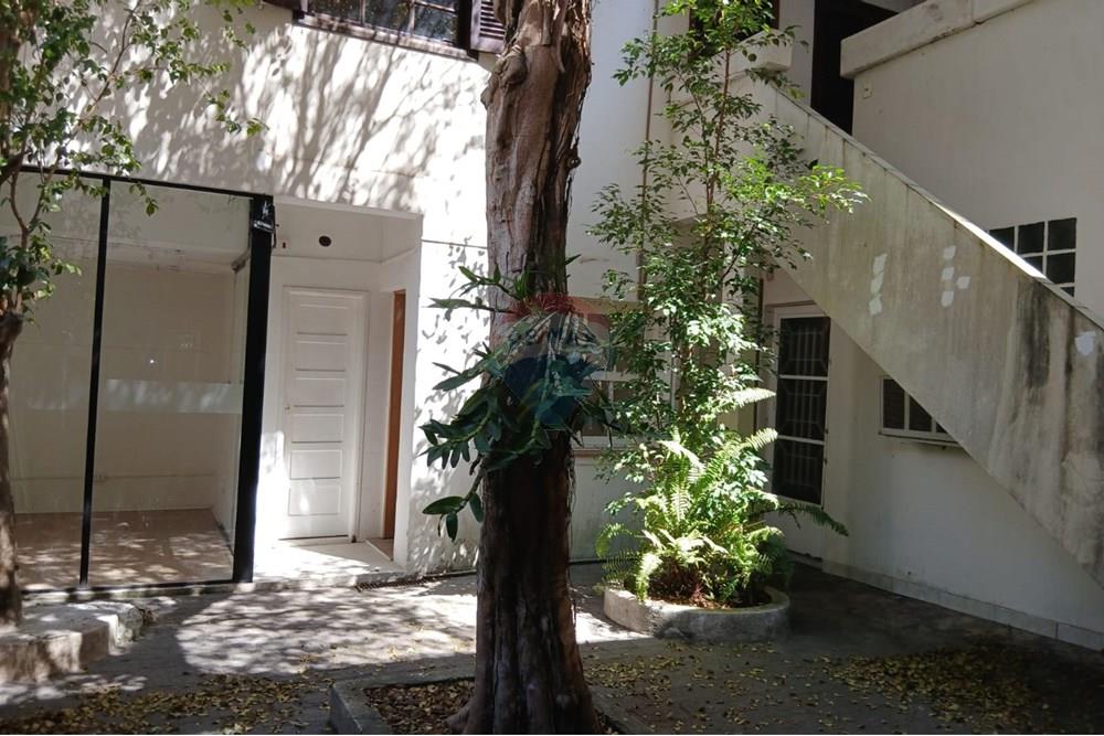 Casa Comercial - Alugar - São Paulo , São Paulo - WhatsApp Image 2025-08-19 at 13.19.20.jpeg - 601971016-496