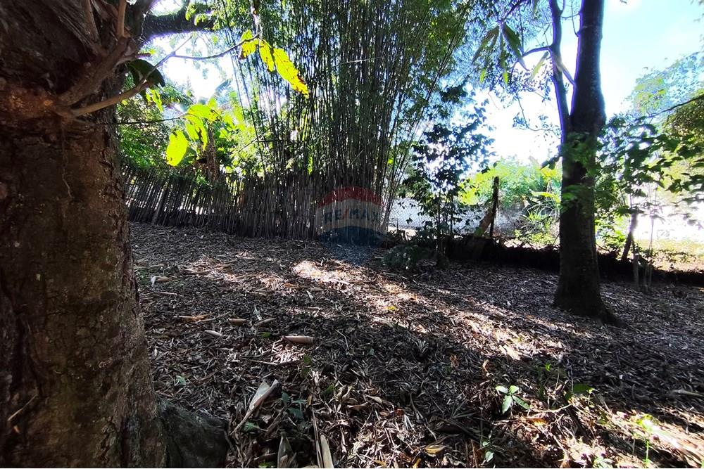 Terreno - Venda - Ferraz de Vasconcelos , São Paulo - IMG_20250918_150053.jpg - 601451005-109