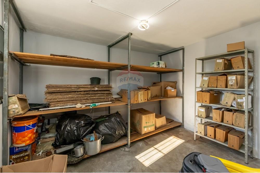 Galpão - Venda - São Paulo , São Paulo - IMG_560105.jpg - 602181015-81