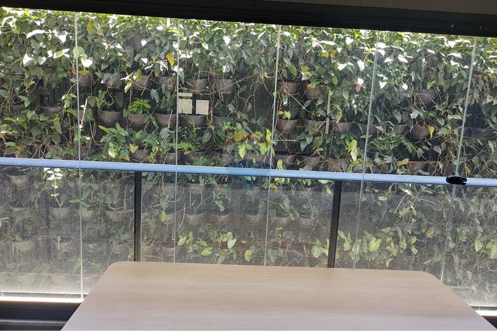 Apartamento - Alugar - São Paulo , São Paulo - WhatsApp Image 2025-12-24 at 13.44.58 (1).jpeg - 602341002-60