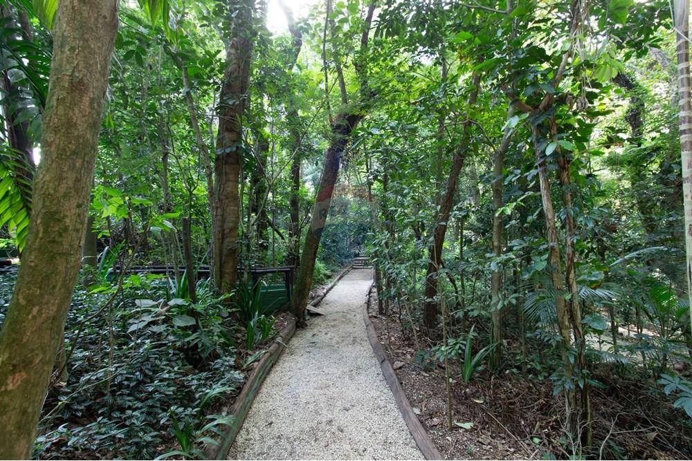 Apartamento - Venda - São Paulo , São Paulo - 73 Bosque.jpg - 601971076-86