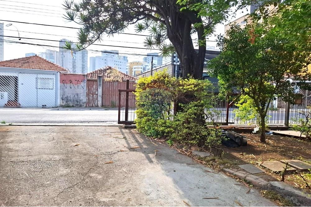 Terreno - Venda - São Paulo , São Paulo - 3.jpg - 602291016-216