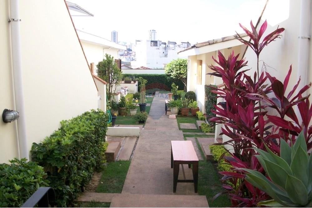 Casa de Vila - Alugar - São Paulo , São Paulo - WhatsApp Image 2025-03-08 at 15.40.25.jpeg - Quintal - 601991054-6