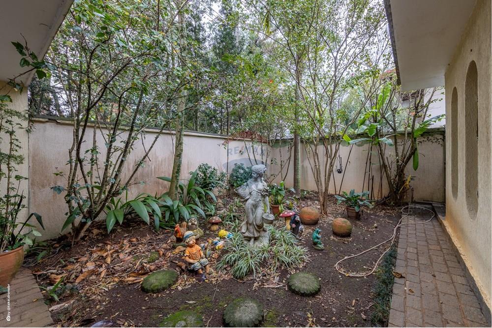 Casa - Alugar - São Paulo , São Paulo - TKD-7163.jpg - 602151008-166