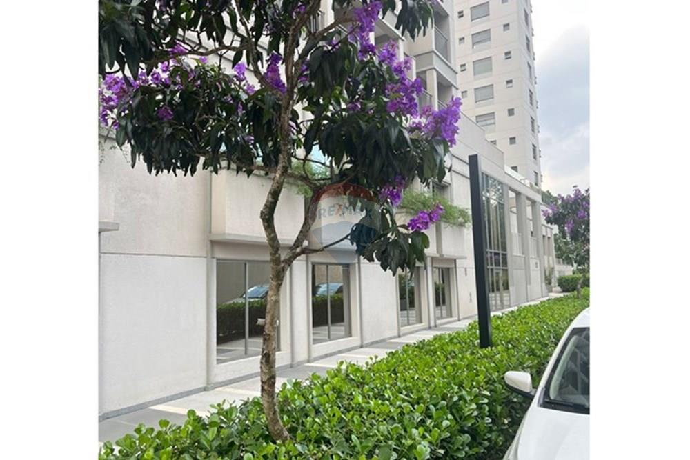 Loja - Alugar - São Paulo , São Paulo - 1.jpeg - 602241038-2