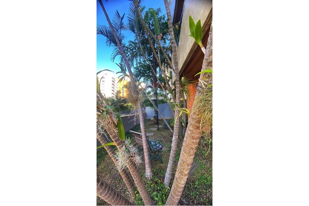 Apartamento - Alugar - São Paulo , São Paulo - Área externa.jpg - 601971088-5