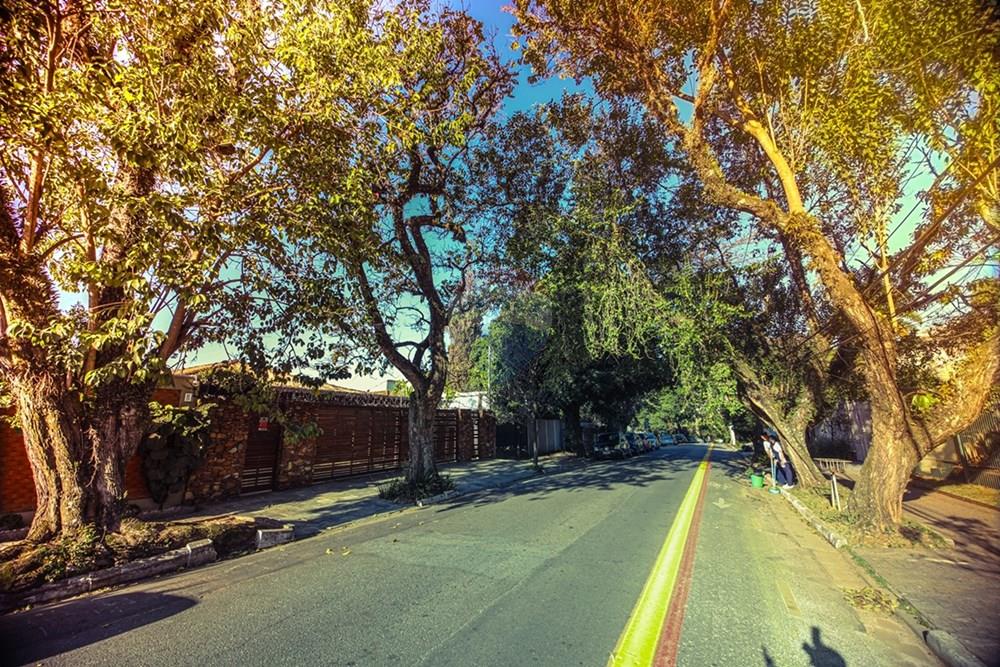 Casa - Alugar - São Paulo , São Paulo - casa altos da lapa - sem logo (84).jpg - 602181052-2