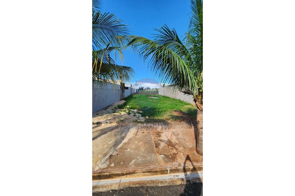 Terreno - Venda - Jaboticabal , São Paulo - WhatsApp Image 2026-03-13 at 09.07.14.jpeg - 601251016-107