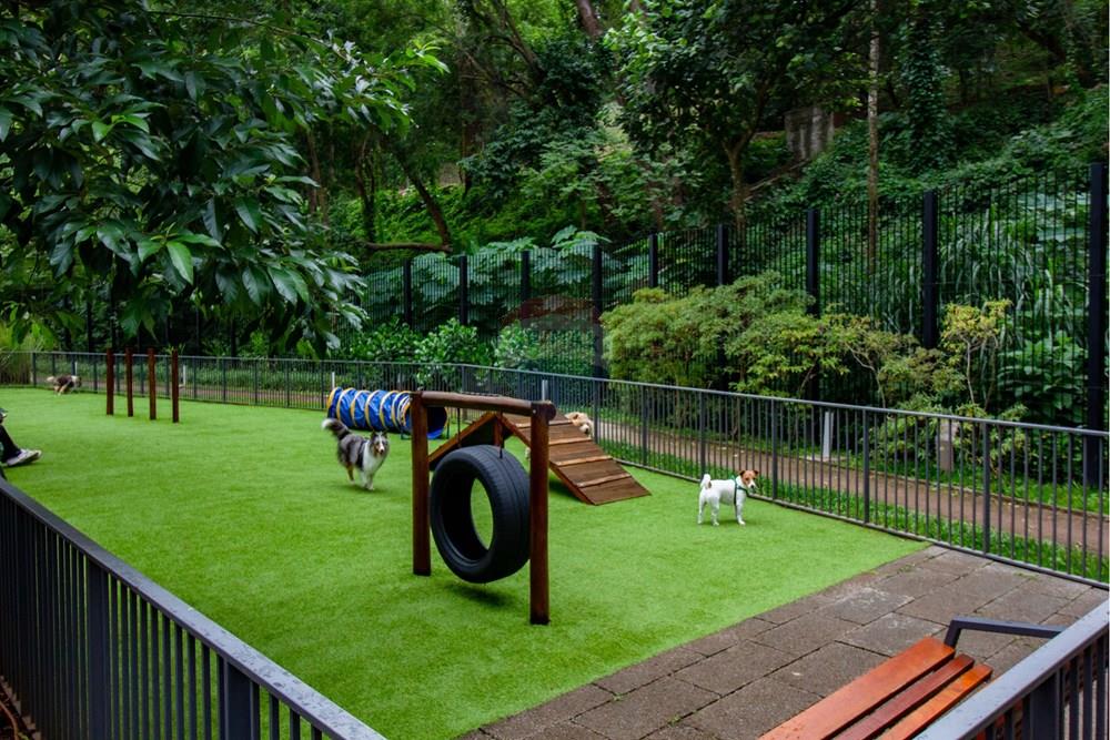 Apartamento - Alugar - São Paulo , São Paulo - _MG_5777.JPG - 601361019-3226