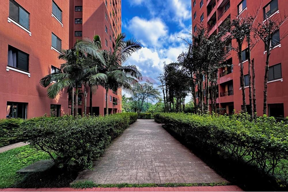 Gyvenamasis - Butas - San Paulas , San Paulas - BR - IMG_5579.jpg - 602331017-65