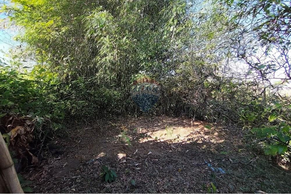 Terreno - Venda - Ferraz de Vasconcelos , São Paulo - IMG_20250918_145811.jpg - 601451005-109