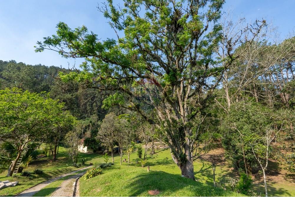 Chácara / Sítio / Fazenda - Venda - Itapecerica da Serra , São Paulo - DSC00754.jpg - 601241014-67