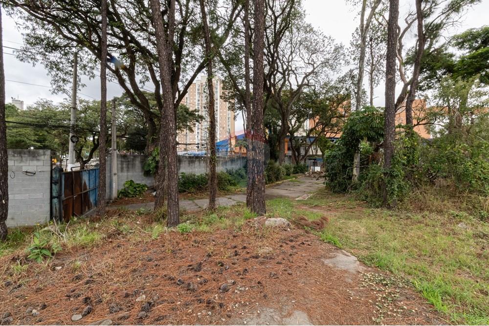 Terreno - Venda - São Paulo , São Paulo - 01fotos_054.jpg - 601251084-263