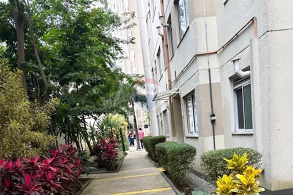 Apartamento - Alugar - São Paulo , São Paulo - WhatsApp Image 2025-12-19 at 13.55.19 (1).jpeg - 602411011-7