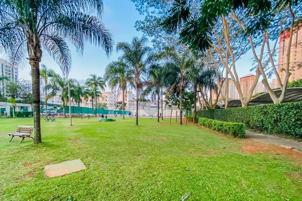 Apartamento - Alugar - São Paulo , São Paulo - IMG_417226.jpg - 602051002-85