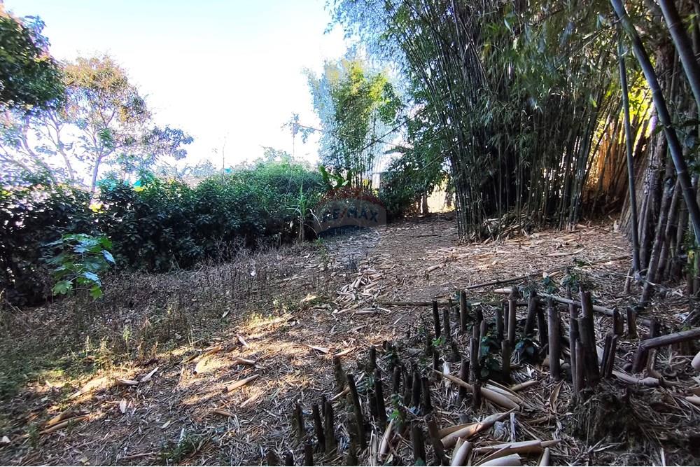 Terreno - Venda - Ferraz de Vasconcelos , São Paulo - IMG_20250918_150153.jpg - 601451005-109