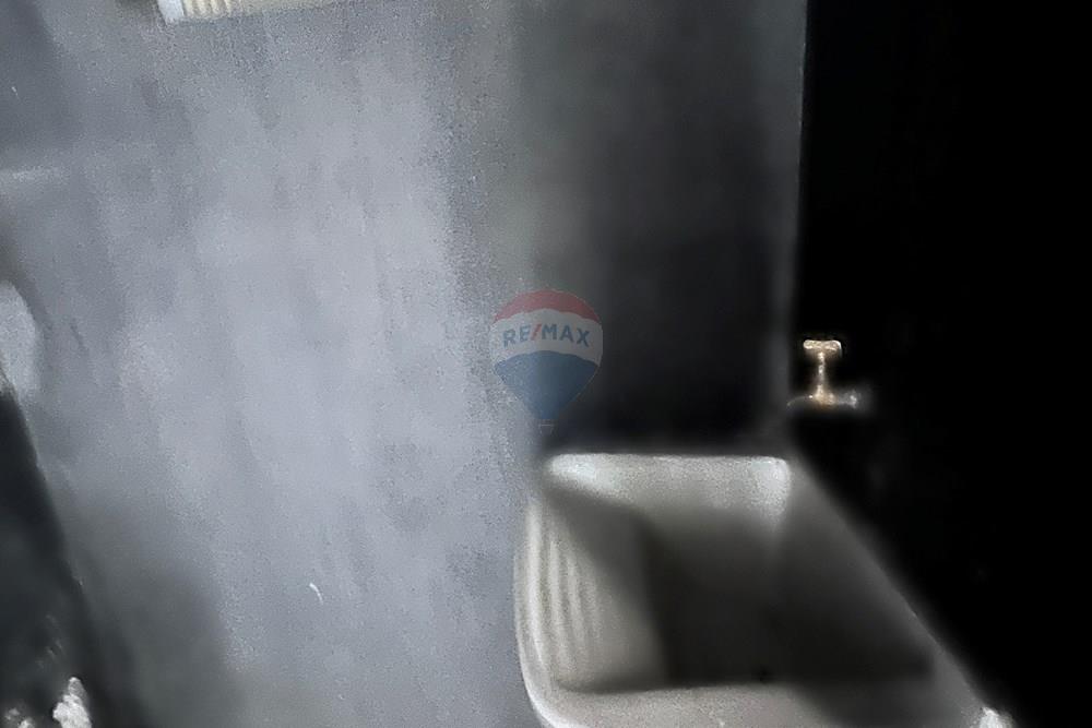 Galpão - Alugar - São Paulo , São Paulo - IMG_1383.JPG - 601471030-83