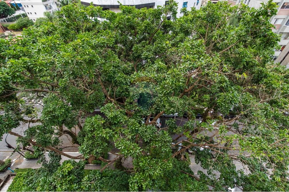 Apartamento - Venda - São Paulo , São Paulo - 53-AP.jpg - 601971015-653