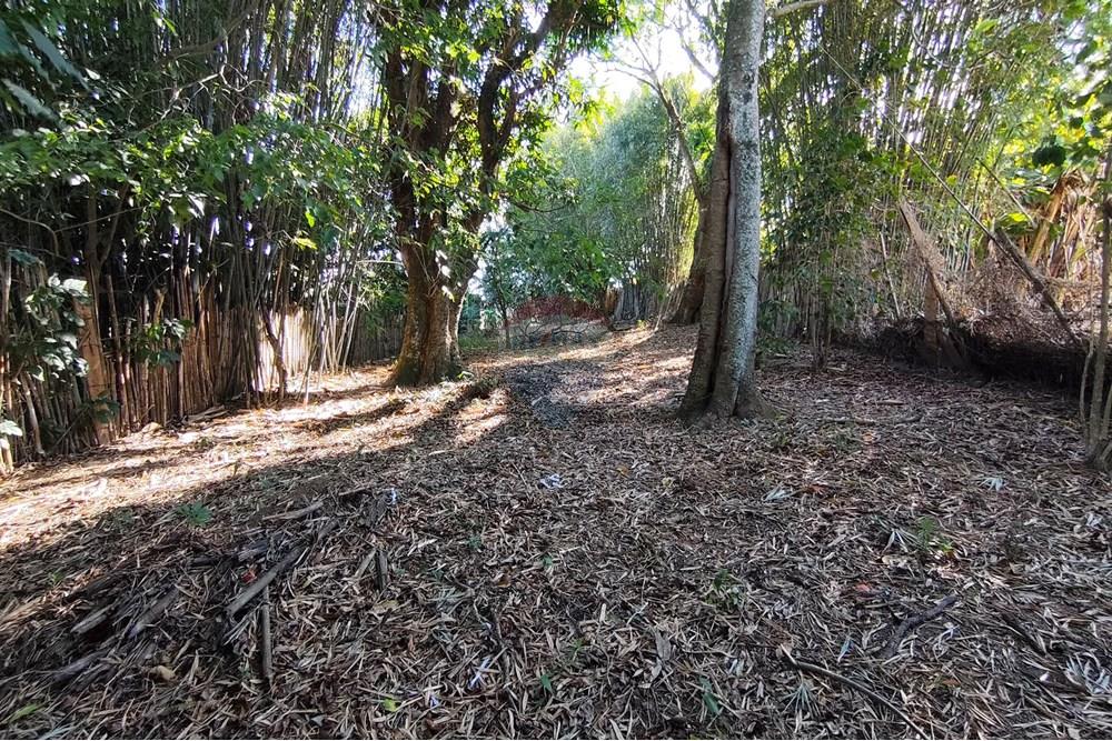 Terreno - Venda - Ferraz de Vasconcelos , São Paulo - IMG_20250918_150018.jpg - 601451005-109