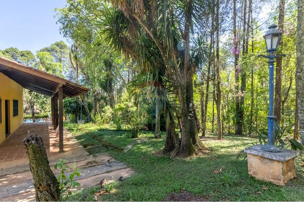 Chácara / Sítio / Fazenda - Venda - São Roque , São Paulo - 60.jpg - 602181038-458