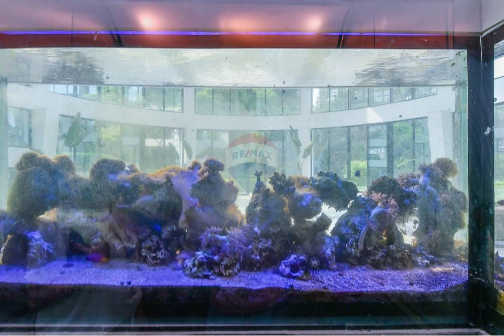 Cobertura - Venda - São Paulo , São Paulo - Foto-45.jpg - 601251016-70