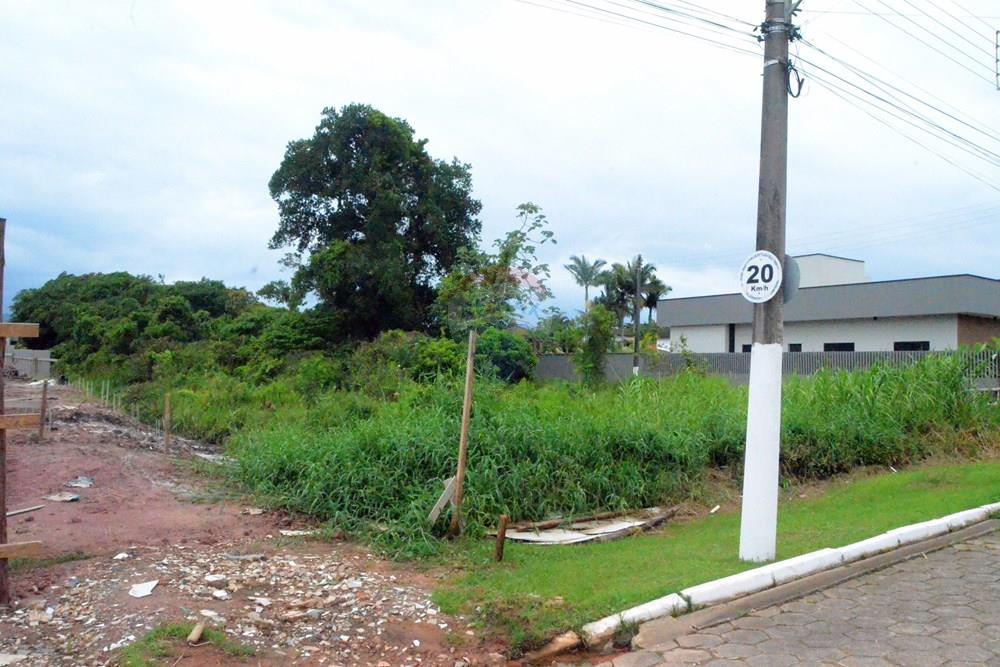 Terreno - Venda - Peruíbe , São Paulo - 01fotos_023.jpg - 601251058-29