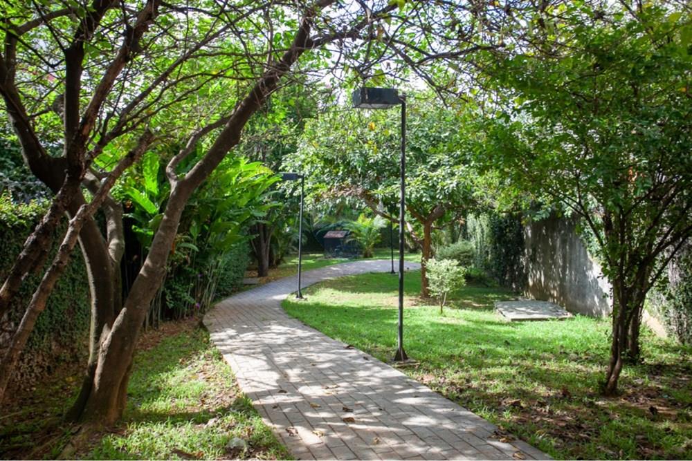 Apartamento - Alugar - São Paulo , São Paulo - Bosque.jpg - 602331040-10